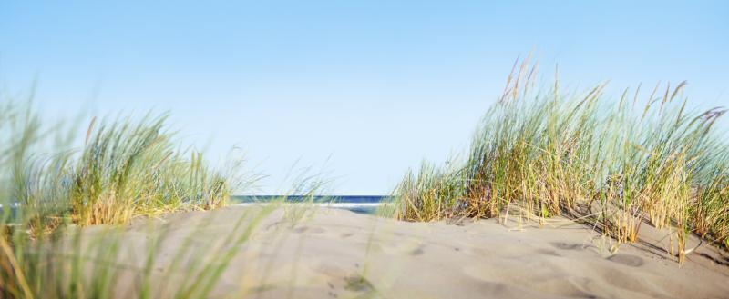 Брестчане встретят лето с новым пляжем: открытие 1 июня