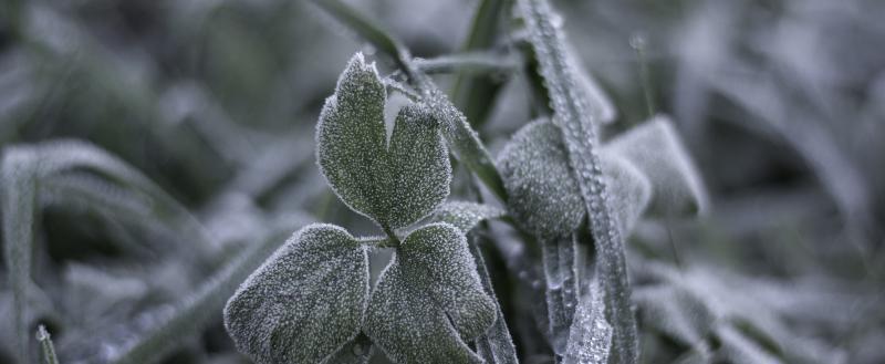 24 апреля объявлено штормовое предупреждение