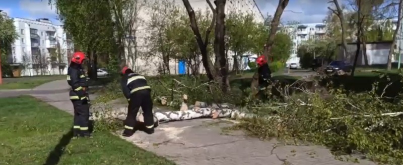 В Беларуси бушует ураганный ветер: что натворила стихия за прошедшие сутки