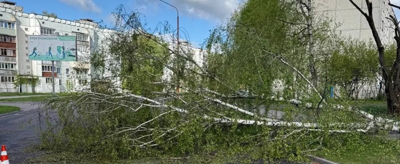 Сорванные крыши, сломанные деревья, поврежденные машины: последствия непогоды на Брестчине