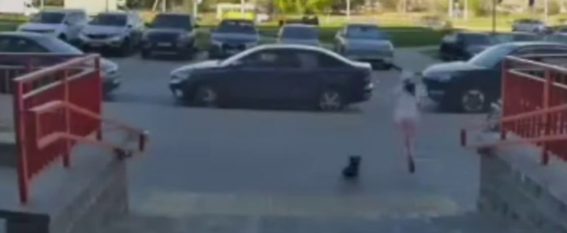 В Минске 9-летняя девочка убегала от собаки и попала под колеса