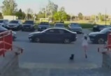 В Минске 9-летняя девочка убегала от собаки и попала под колеса