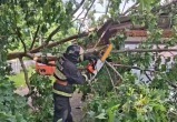 Штормовой ветер нарушил электроснабжение в 259 населенных пунктах