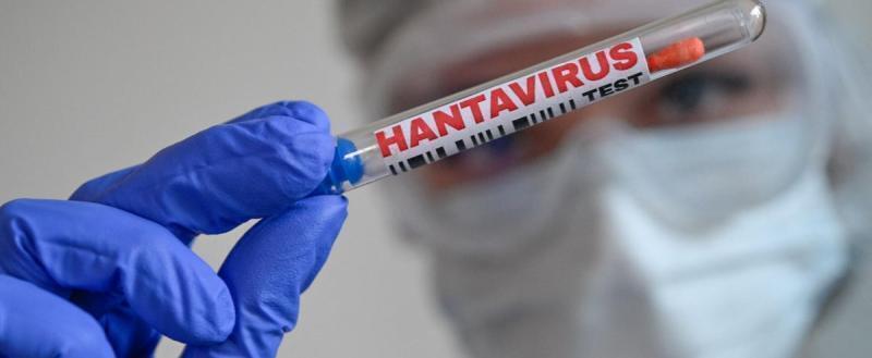 Почему хантавирус начал мутировать: мнение эксперта