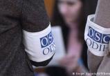 Трамп отказался от наблюдателей ОБСЕ на промежуточных выборах