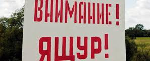 Забайкалье вводит режим повышенной готовности из-за угрозы ящура