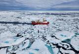 Ледовый щит Британии дал трещину: HMS Protector выведен из строя &mdash; чем грозит потеря единственного ледокола