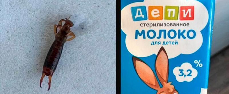 А была ли уховертка? Замкнутый цикл производства белорусского молока - против хайпа.