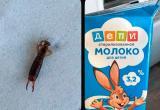 А была ли уховертка? Замкнутый цикл производства белорусского молока - против хайпа.