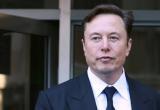 Маск: &laquo;Пора Зеленскому уходить&raquo;