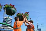 Улица Московская в Бресте украшена ко Дню города цветочными композициями