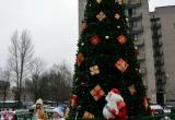 В брестском микрорайоне «Речица» прошло торжественное открытие новогодней елки