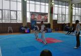 Воспитанники Брестской динамовской школы завоевали медали на первенстве Беларуси среди юниоров по таэквондо