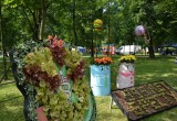 В Бресте прошел фестиваль цветов
