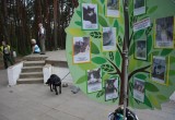 Благотворительная акция, приуроченная ко Всемирному дню бездомных животных, состоялась в Бресте