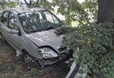 В Барановичах нетрезвый водитель врезался в дерево, уходя от погони