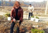 Брестские таможенники приняли участие в акции «Чистый лес-2018»