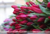 Брестский «Коммунальник» рассказал, сколько цветов планирует продать к 8 Марта