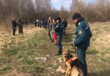 50 человек ищут маленького мальчика из Каменецкого района