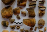 Кабаны нашли клад в Словакии (фотоотчёт)