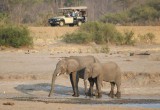 Водопад Виктория высох: от засухи погибли 200 слонов