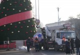 В Бресте на новогоднюю елку установили футбольный мяч