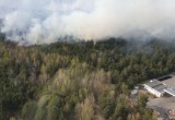 У Бреста разгорелся сильный лесной пожар (видео)