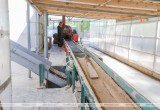 Завод по производству пеллет запустили в Пружанском районе
