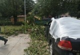 В Бобруйске 12 машин были повреждены во время грозы