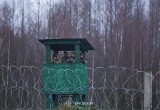 Украина начала строить забор на границе с Беларусью