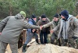 ВСУ оборудуют новую линию обороны на границе с Беларусью