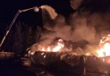 Почти 30 машин МЧС тушили крупный пожар в Колодищах под Минском