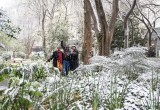 В Южной Африке выпал снег впервые за десятилетие