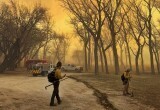 В Техасе ввели чрезвычайное положение из-за бушующих пожаров