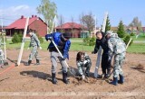 Лукашенко на субботнике высаживает яблоневый сад на малой родине