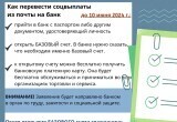 Порядок выплаты социальных пособий изменится в Беларуси с 1 июля