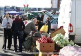 Осенние сельхозярмарки стартовали в Бресте