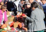 Осенние сельхозярмарки стартовали в Бресте