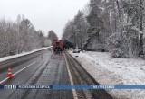 Семья погибла в ДТП в Славгородском районе