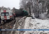 Семья погибла в ДТП в Славгородском районе